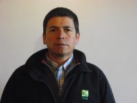 Pedro Fernando Vergara Gaete