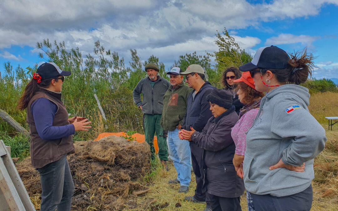INIA Kampenaike concluye programa de capacitación para agricultura sustentable en Magallanes