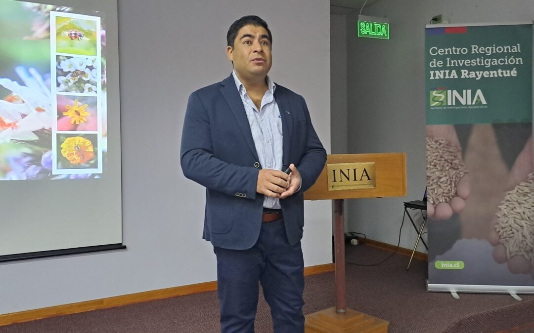 Proyecto busca obtener tomates, lechugas y cebollas agroecológicas utilizando biocontroladores