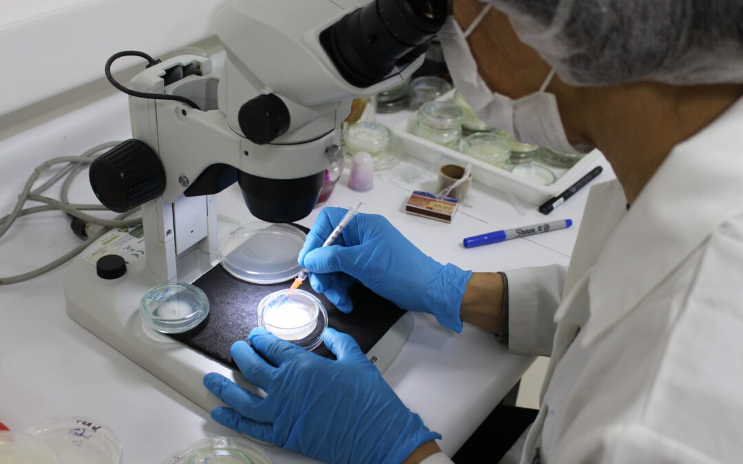 Ministerio de Ciencias entrega financiamiento a INIA para potenciar el desarrollo sostenible del sector agroalimentario