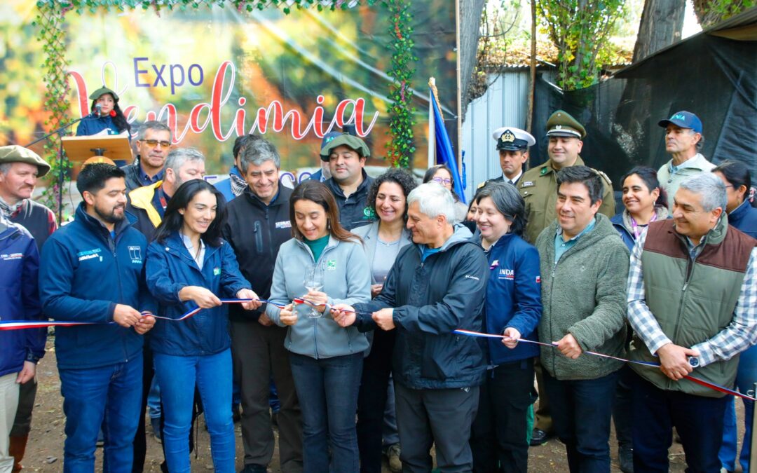 I Expo Vendimia Chile Chico: Un Nuevo Capítulo en la Historia vitivinícola del país en la Patagonia chilena
