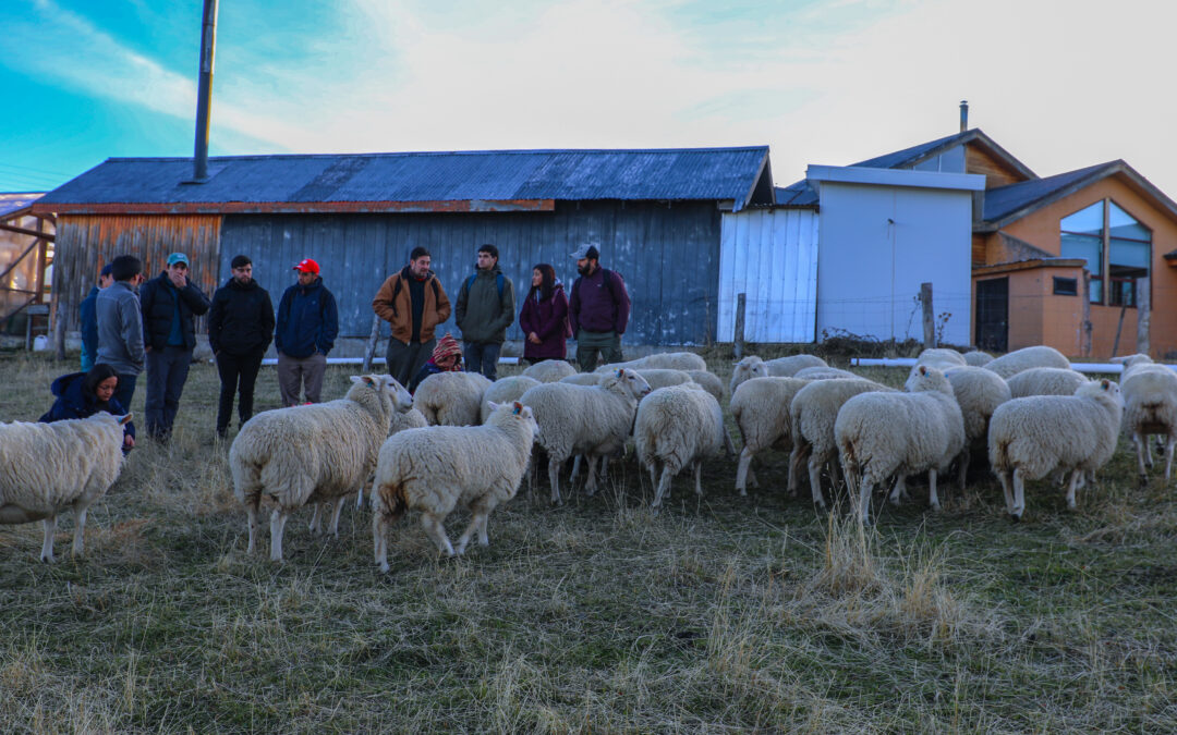 Proyecto FIA-INIA Tamel Aike de suplementación animal basada en el orujo de cerveza despierta gran interés entre alumnos de Agronomía