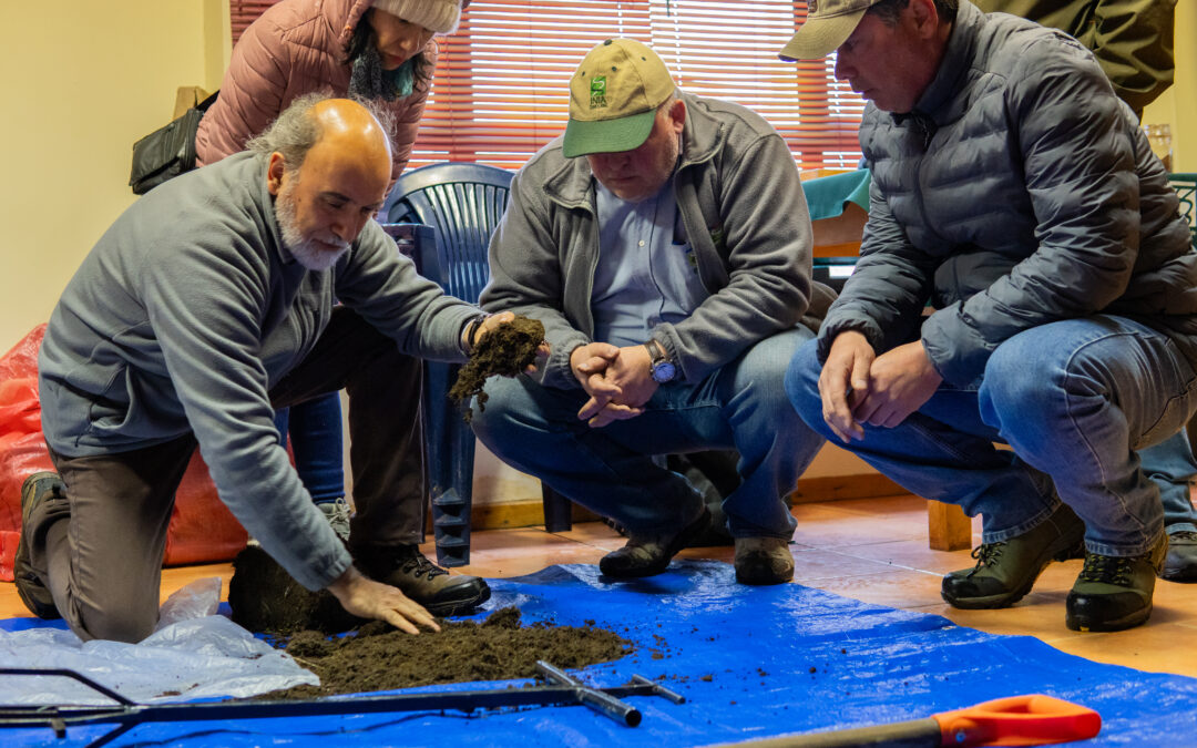 Encuentro con productores: INIA presenta avances del programa de manejo y Control de Plagas en Praderas y Cultivos Forrajeros