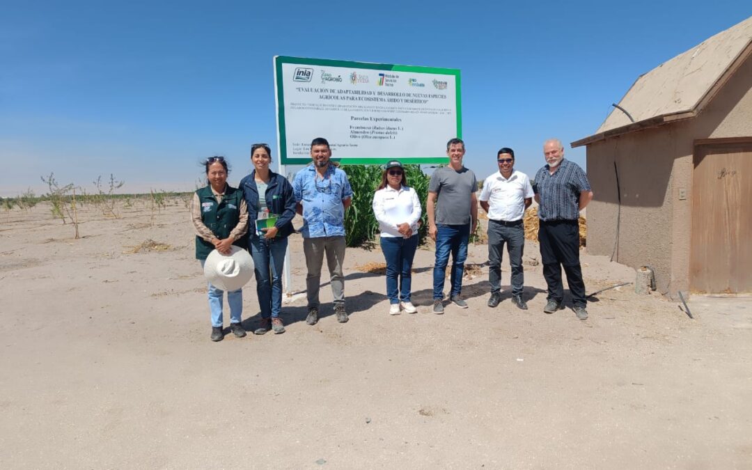 Comitiva INIA visitó instalaciones de INIA Perú en Tacna