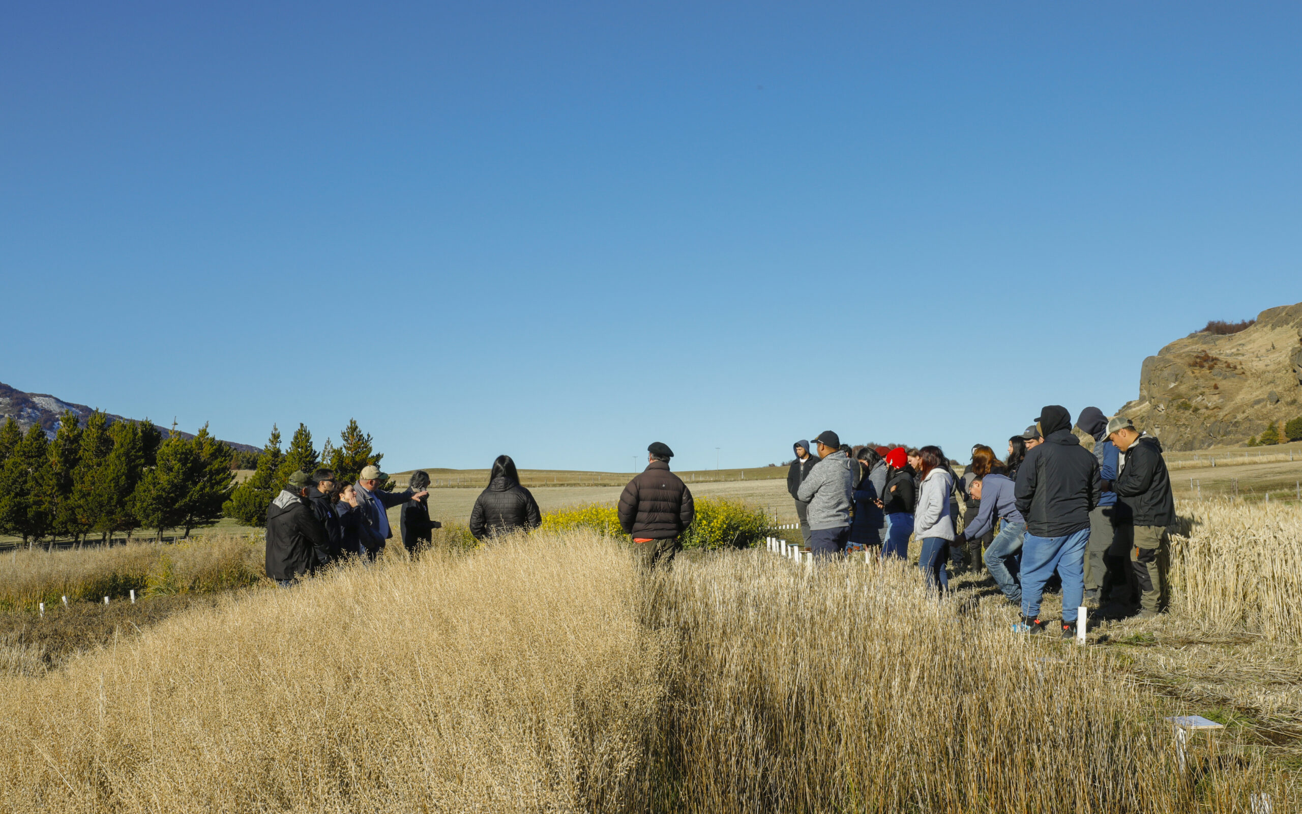 Día de Campo INIA Tamel Aike En Inia Tamel Aike se realizó charla sobre cultivos industriales impulsados en la Patagonia