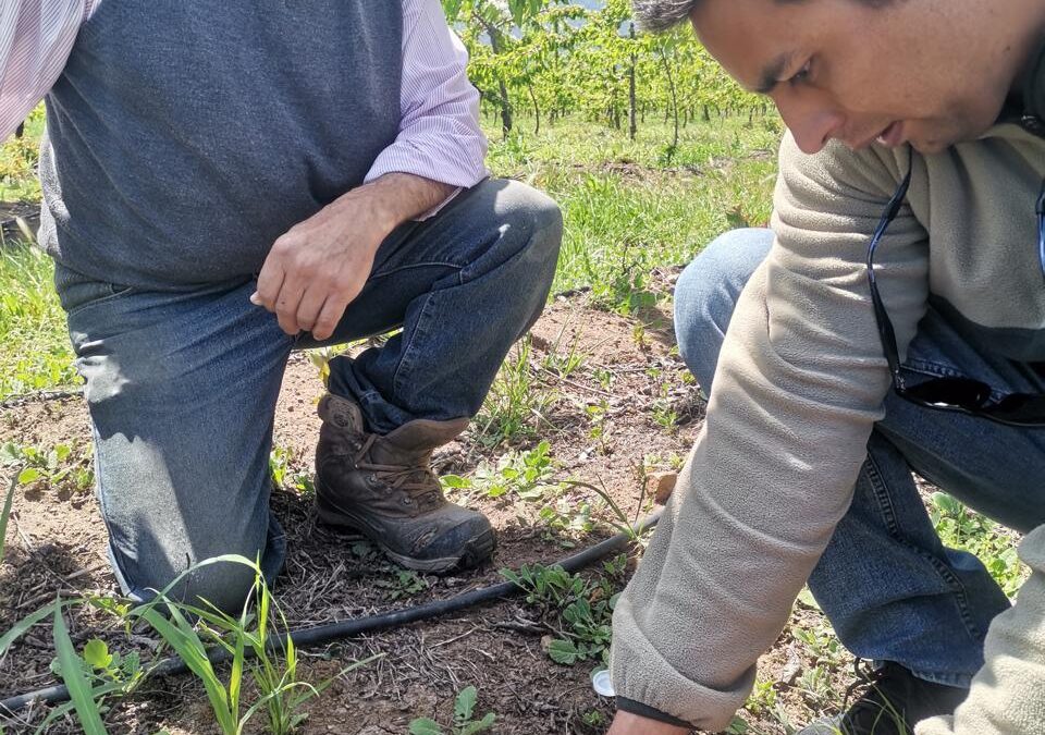 400 agricultores y estudiantes aprenden a innovar en el uso del agua