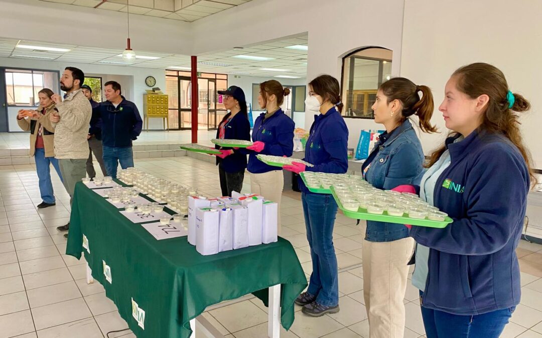 Científicos estudian nuevo tipo de leche alta en proteína  para alérgicos