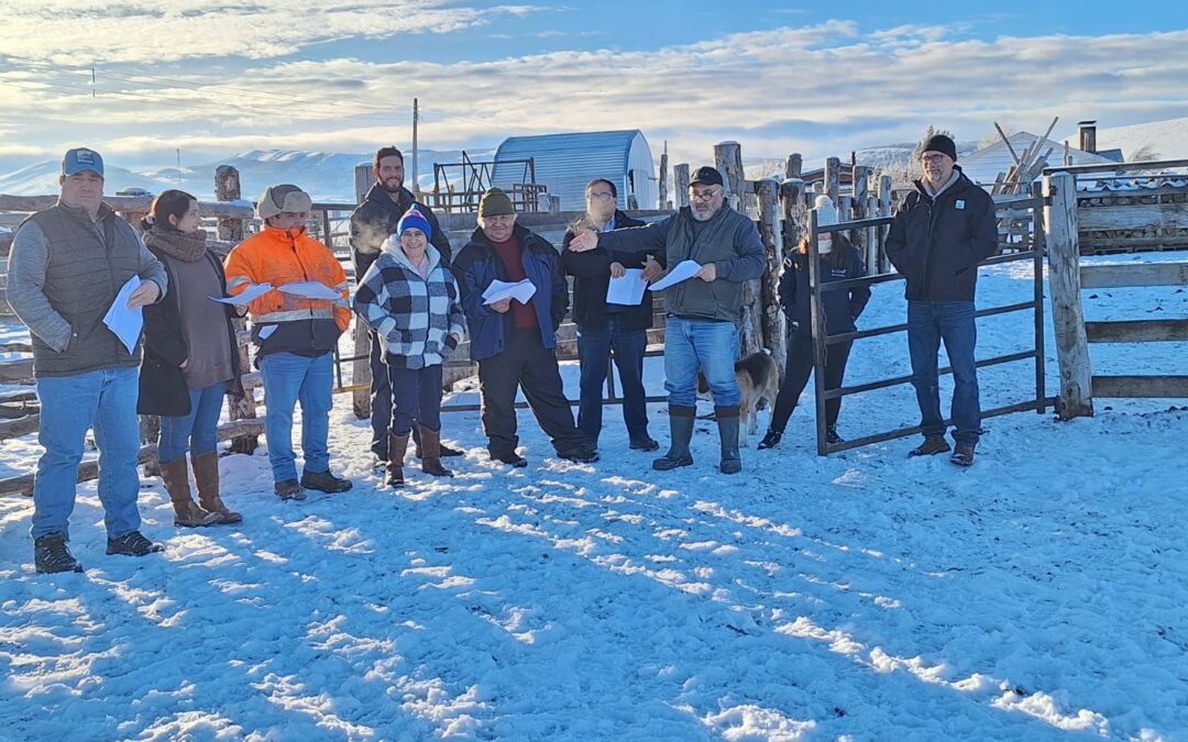 INDAP e INIA refuerzan trabajo conjunto con productores ganaderos de Magallanes