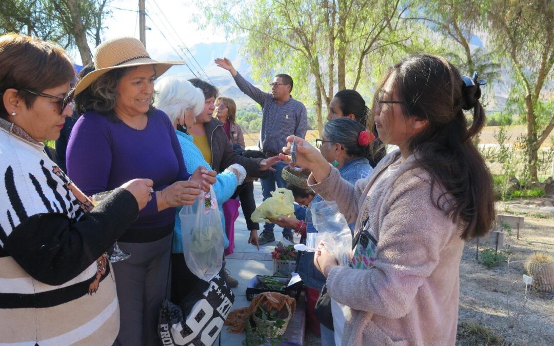 Red de Banco de Germoplasma de INIA inició proceso de entrega de semillas tradicionales a agricultores