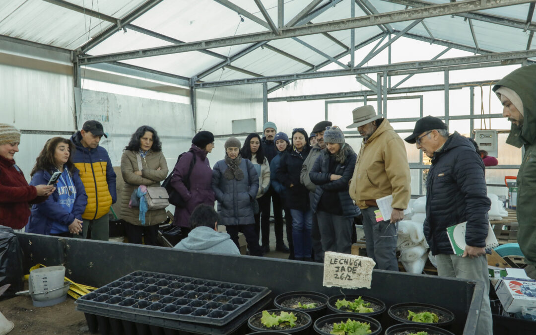 Grupos de Extensión Tecnológica de INIA en Agroecología y Frutales Menores Realizan Charla-Taller sobre Técnicas de Riego en INIA Tamel Aike