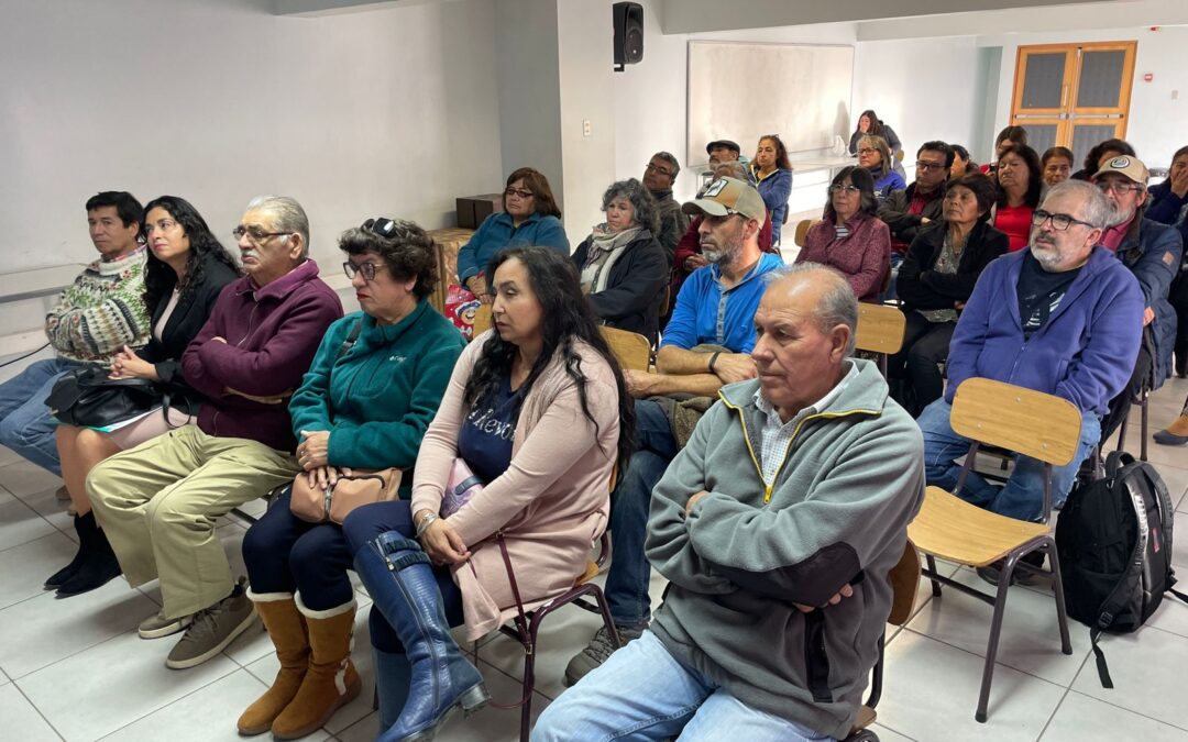 Olivicultores aprenden técnicas para mejorar su proceso de comercialización