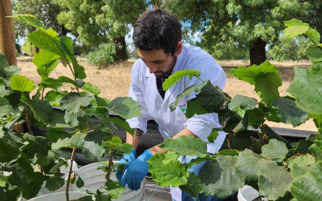 Últimos avances en el desarrollo y aplicaciones de bioinsumos para la agricultura llegan a Chillán