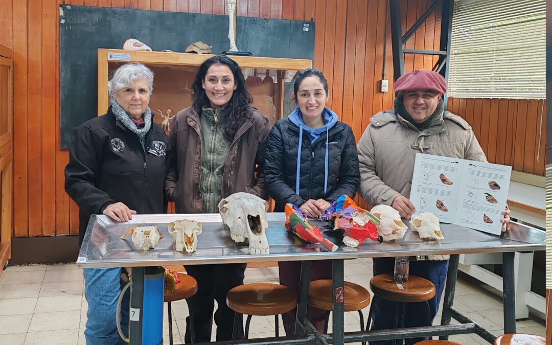 Profesionales de ganadería de INIA avanzan en certificación en bienestar animal