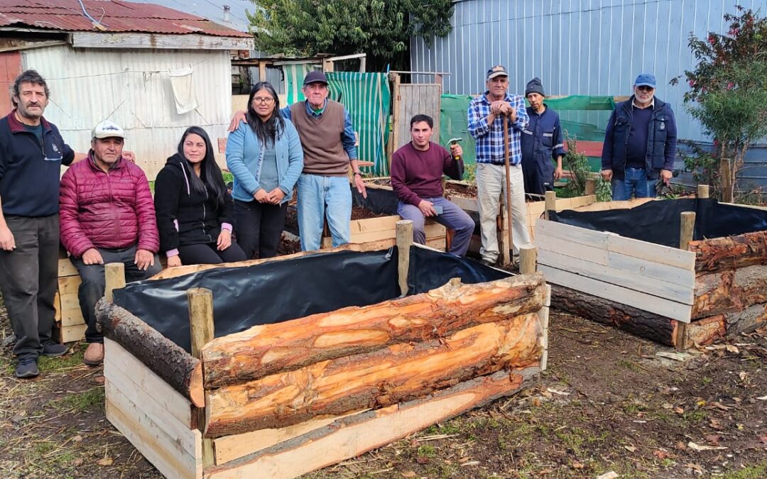 Huerta urbana del albergue municipal de Cañete ayuda a  la reinserción social de sus usuarios