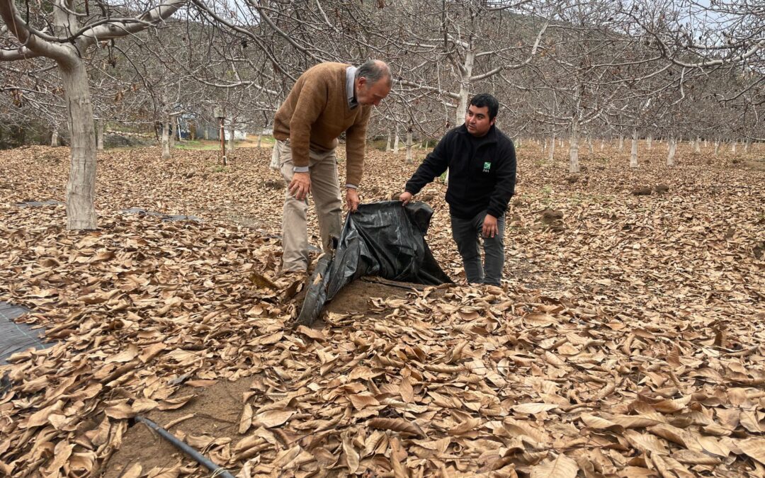 Salamanquinos reciben asesoría para mejorar sus sistemas de riego y realizar un uso eficiente del agua