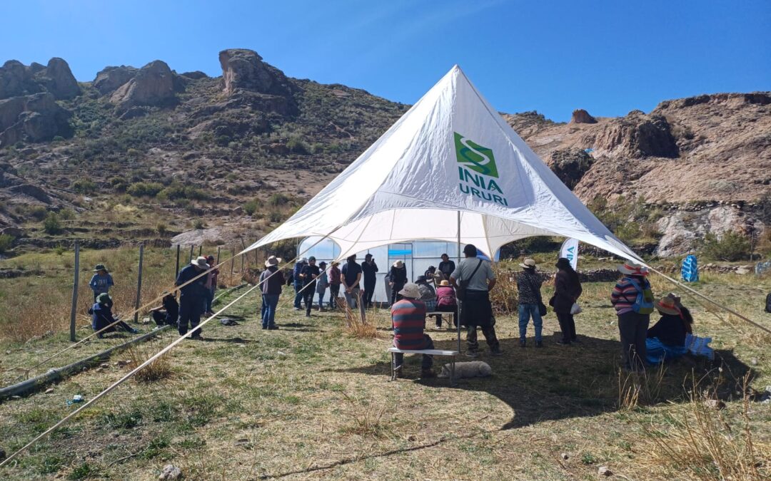 Productores de pueblos originarios aprendieron sobre eficiencia hídrica en programa CONADI ejecutado por INIA Ururi