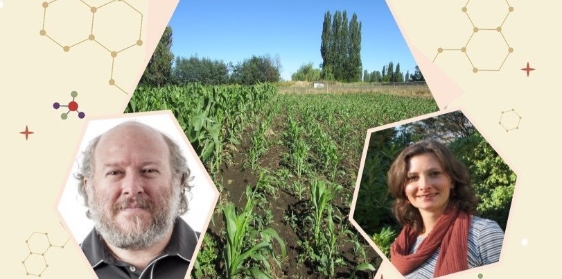 INIA Chile invita a profesionales del área de los recursos genéticos a participar en curso dictado por especialista de CIMMYT