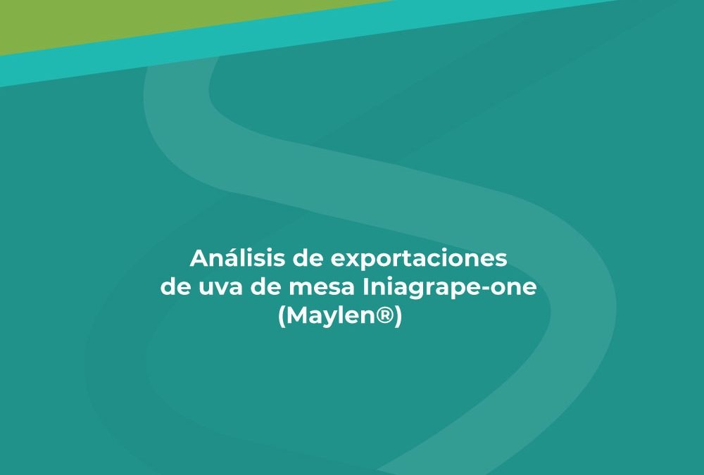 AnÔlisis de exportaciones de uva de mesa Iniagrape-one (Maylen®)