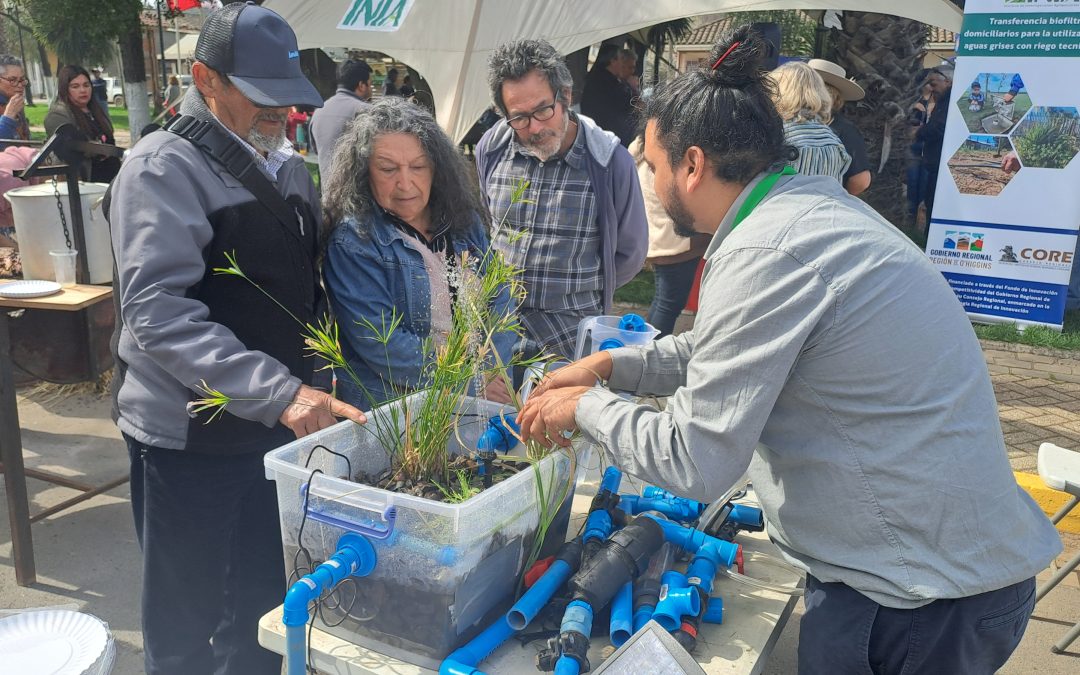 Biofiltros permitirán reutilizar el agua domiciliaria para la pequeña agricultura