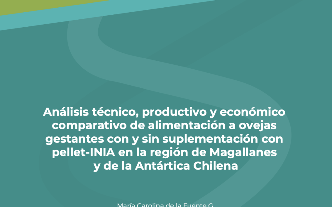 AnÔlisis técnico, productivo y económico comparativo de alimentación a ovejas gestantes con y sin suplementación con pellet-INIA en la región de Magallanes y de la AntÔrtica Chilena