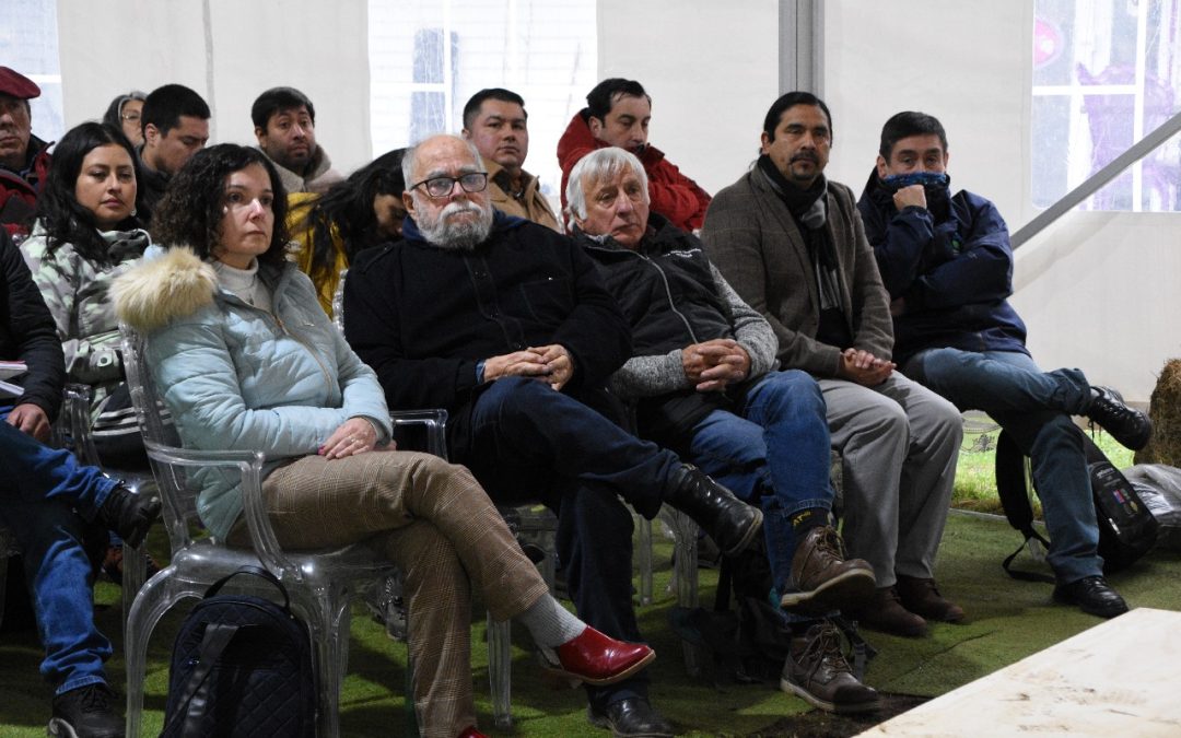 En La Araucanía: mundo público y privado articulado en seminario ovino apoyado por FIA