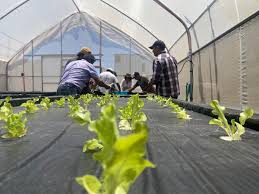 SEMINARIO CIERRE PROGRAMA “TRANSFERENCIA TECNOLÓGICA PARA CULTIVO DE HORTALIZAS HIDROPÓNICAS EN LA REGIÓN DE COQUIMBO”