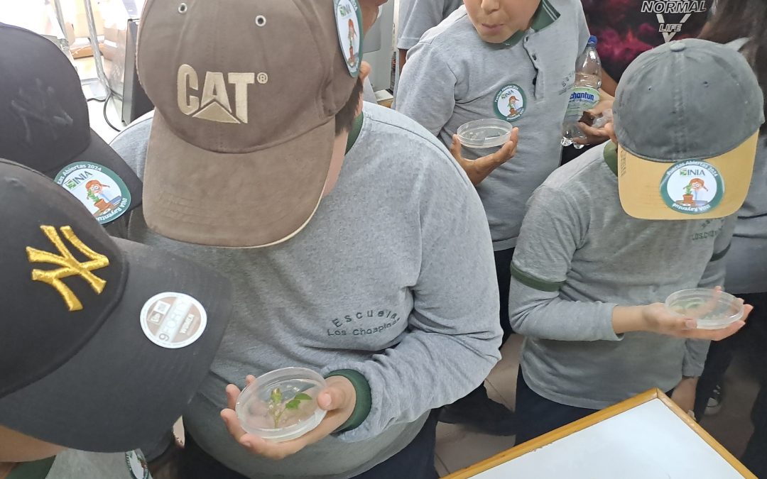 “Puertas Abiertas 2024” de INIA Rayentué pone foco en agricultura sustentable