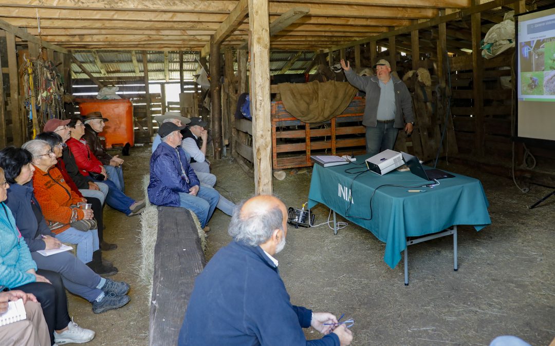 INIA capacita a productores en Aysén en monitoreo de plagas en praderas y cultivos forrajeros