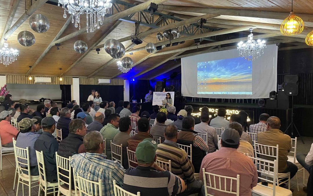 Ministerio de Agricultura presenta el programa de transferencia tecnológica de la nueva variedad de Arroz JASPE