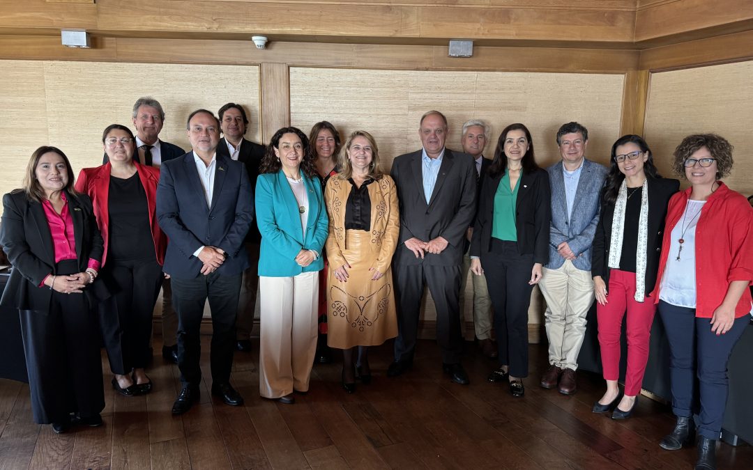 Científicos del Cono Sur de América proyectan desarrollo tecnológico y sostenible del agro en Puerto Varas