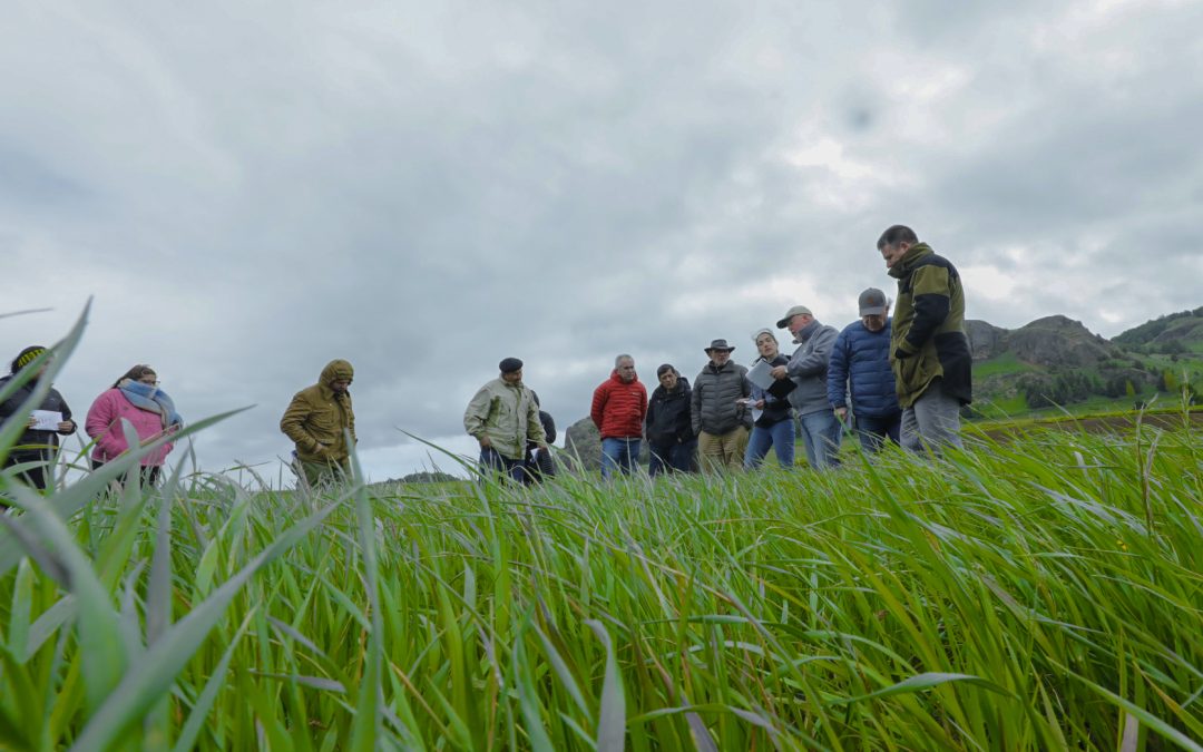 Jornada Técnica sobre Especies y Variedades Forrajeras en INIA Tamel Aike