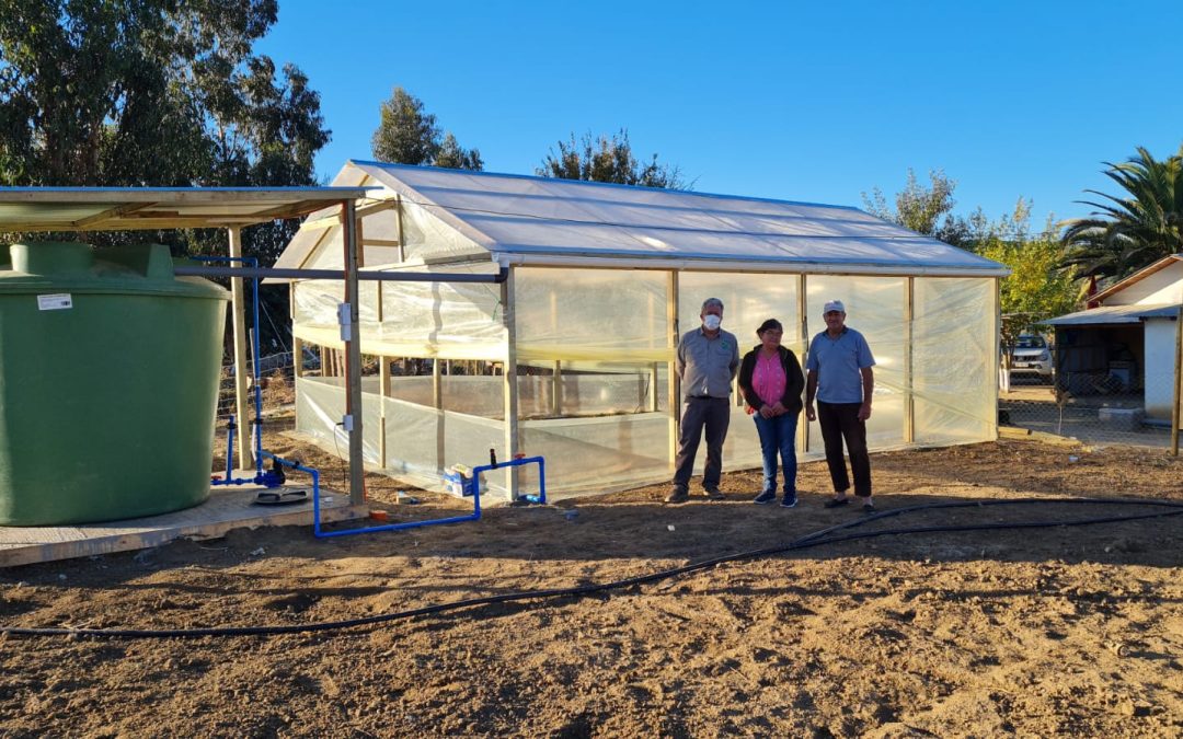 Cambio climático: INIA Rayentué impulsa más de 4.000 cosechadores de agua-lluvia en Chile