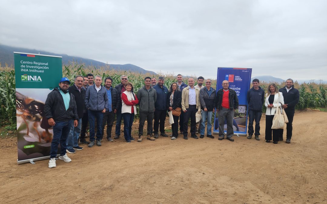 CNR e INIA capacitan a consultores en riego subterráneo y uso de energías renovables