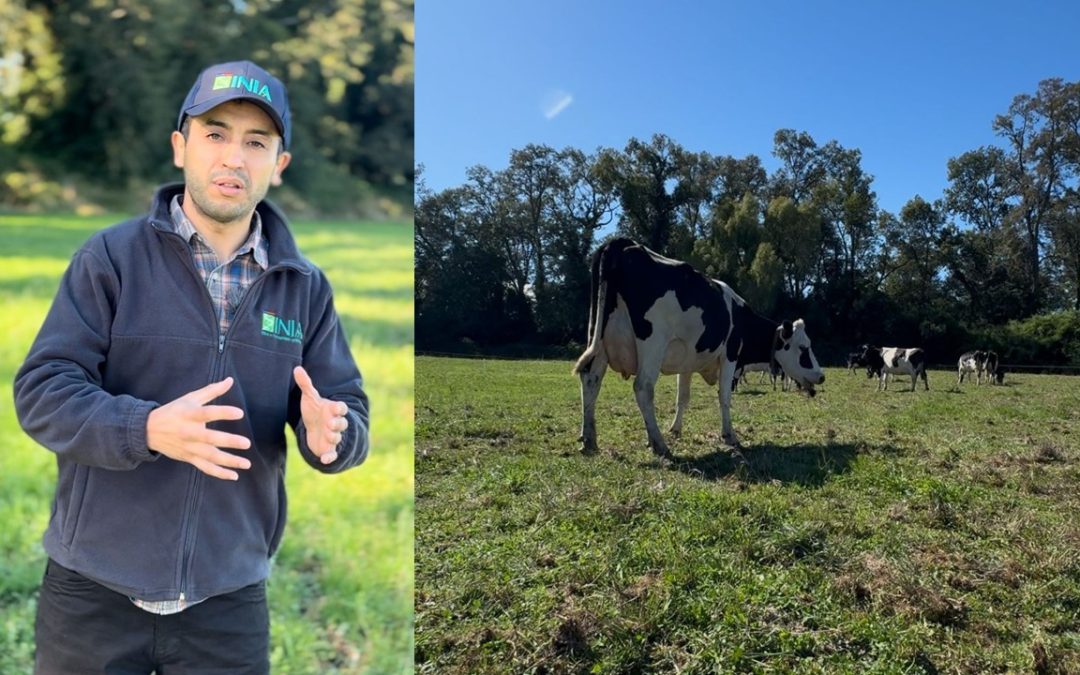 Investigador de INIA da a conocer cómo se calcula el balance de carbono para predios ganaderos