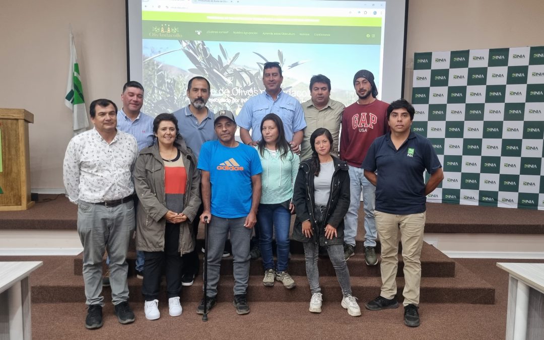 Organizaciones de pequeños olivicultores de la Región de Coquimbo ya cuentan con sitios web propios para difundir su trabajo