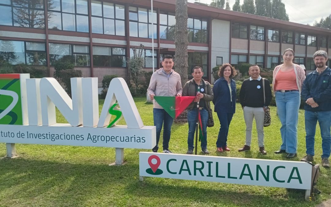 Miembros del Consejo Regional Indígena del Cauca visitan INIA Carillanca