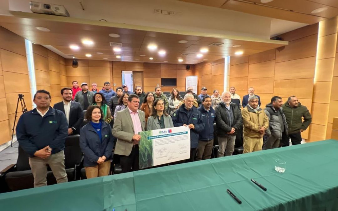 Minagri presenta prototipo para promover la agricultura de contrato y fortalecer al sector triguero nacional