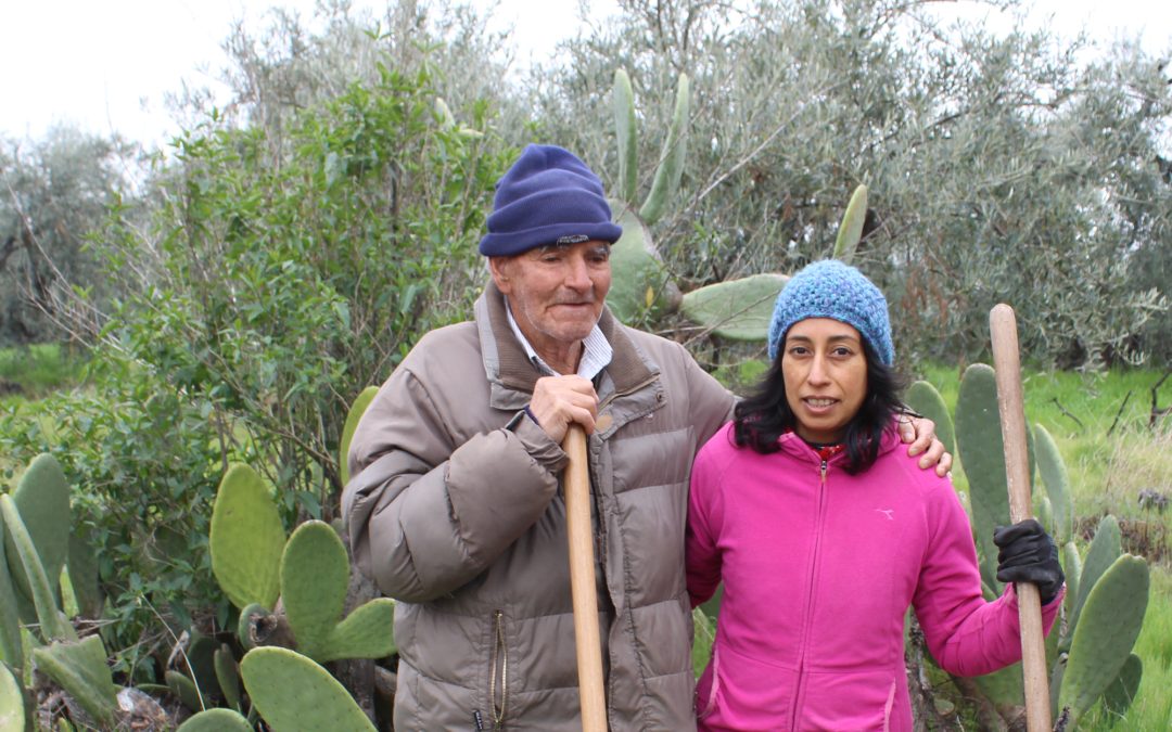 Riego de alta eficiencia mejoró la calidad de vida de los agricultores