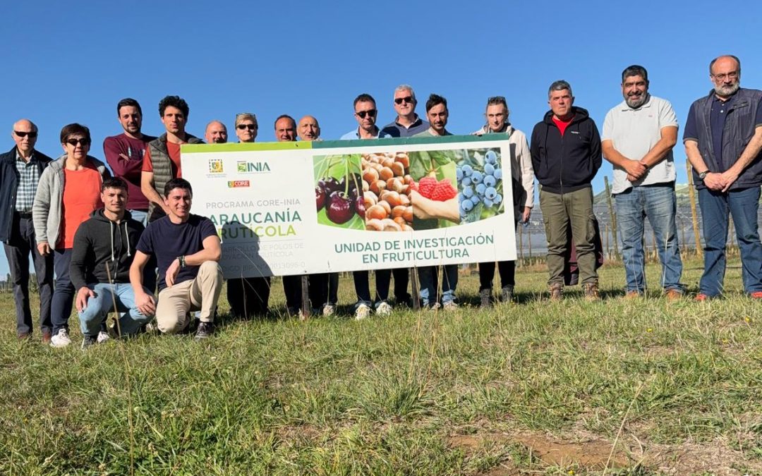 Delegación italiana en gira tecnológica visitó INIA Carillanca para fortalecer lazos de cooperación en Avellano Europeo