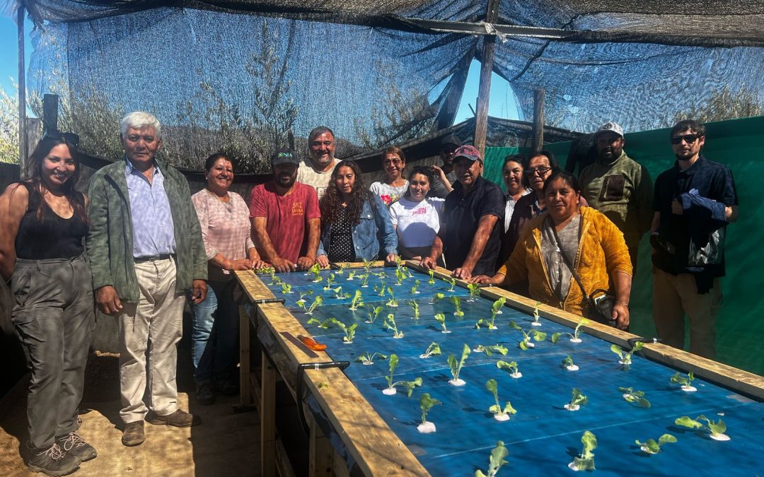 Agricultores aprenden a implementar sistema hidropónico