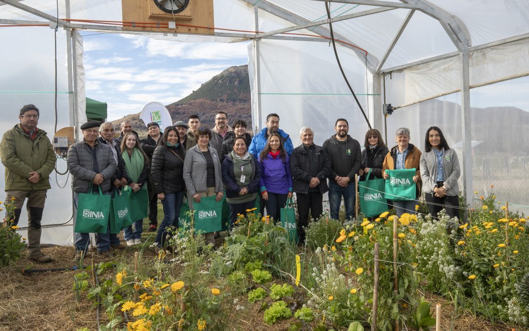 Proyecto impulsa invernaderos para fortalecer el cultivo de hortalizas