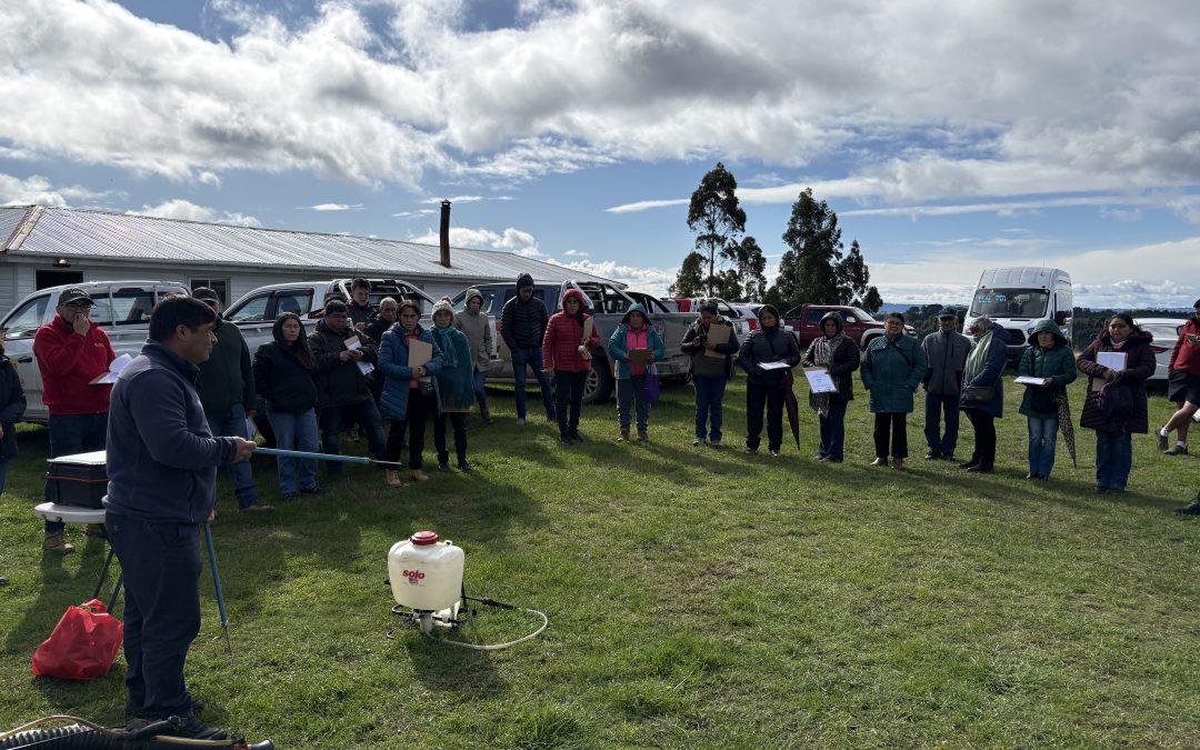 Chiloé fortalece capacidades para un uso más seguro de plaguicidas y promueve la transición hacia bioplaguicidas