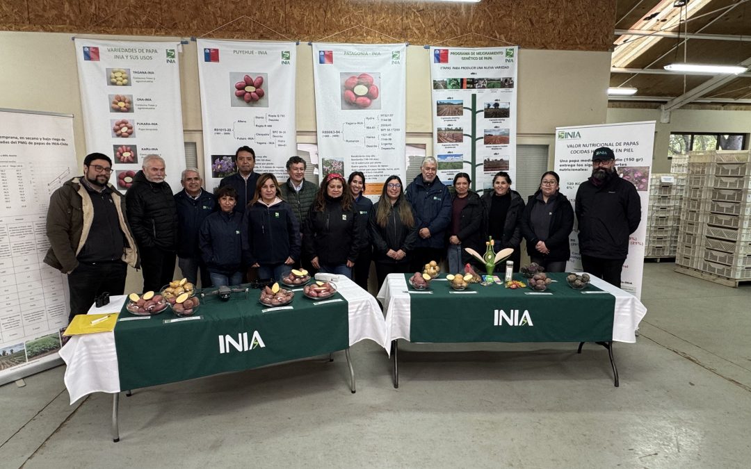 Director nacional de INIA Carlos Furche: “INIA Remehue está a la vanguardia en sustentabilidad agrícola y pecuaria”