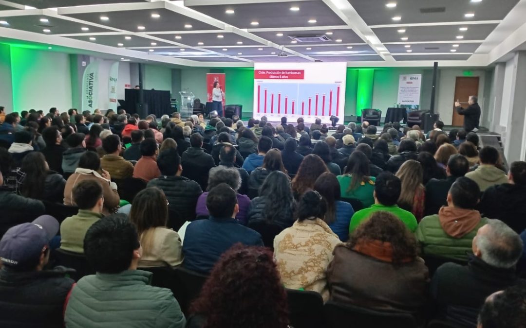 Más de 600 pequeños  y medianos productores de berries de la región participaron en seminario liderado por el Gobierno de La Araucanía