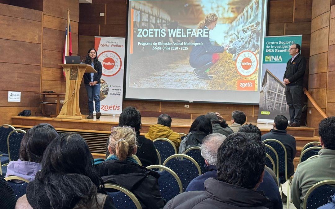 Zoetis Chile junto a INIA realizaron una jornada destinada a salud y bienestar animal