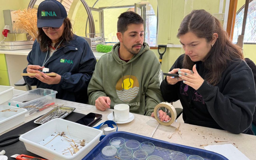 INIA Kampenaike fortalece alianzas científicas en Conservación vegetal y microbiana