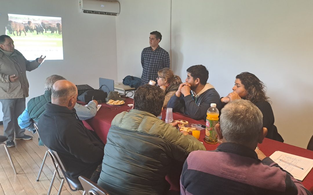 INIA impulsa creación de primera cooperativa ovina en el Secano de la Región de O´Higgins