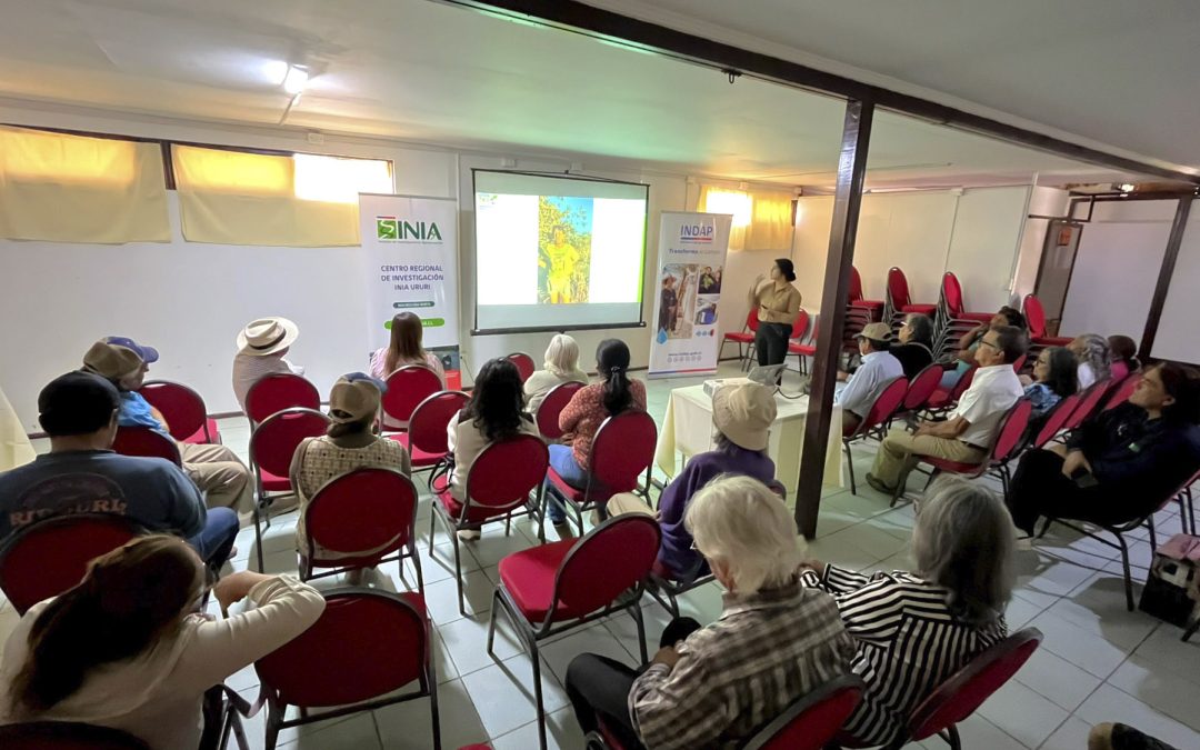 Programa TAS culmina con éxito en Tarapacá:  INDAP e INIA impulsan futuro sostenible para la agricultura familiar campesina