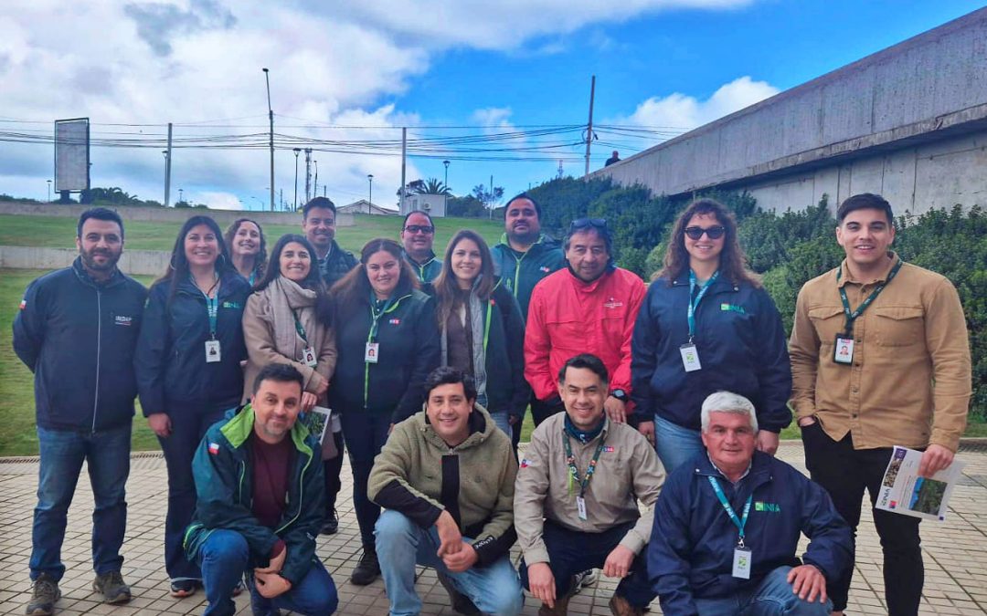 INIA y SAG capacitan a productores en manejo del nematodo foliar de la frutilla ante cierre de emergencia fitosanitaria