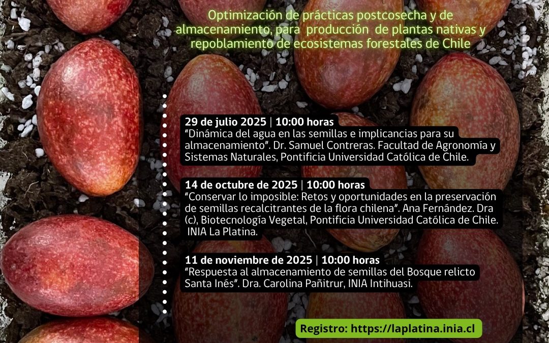 Ciclo de videoconferencias del proyecto FIBN N°015/2023, titulado “Optimización de prácticas postcosecha y de almacenamiento de semillas recalcitrantes para la producción de plantas nativas y repoblamiento de ecosistemas forestales de Chile”.